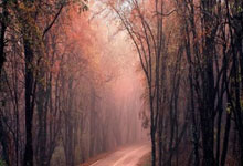 东升国际官网:德天空:多特与詹的续约谈判暂停;他有明夏自由身离队的可能.