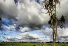 东升国际官网:德天空:多特与詹的续约谈判暂停;他有明夏自由身离队的可能.