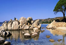 东升国际官网:近两个月角球进球少:TA分析阿森纳定位球的问题.